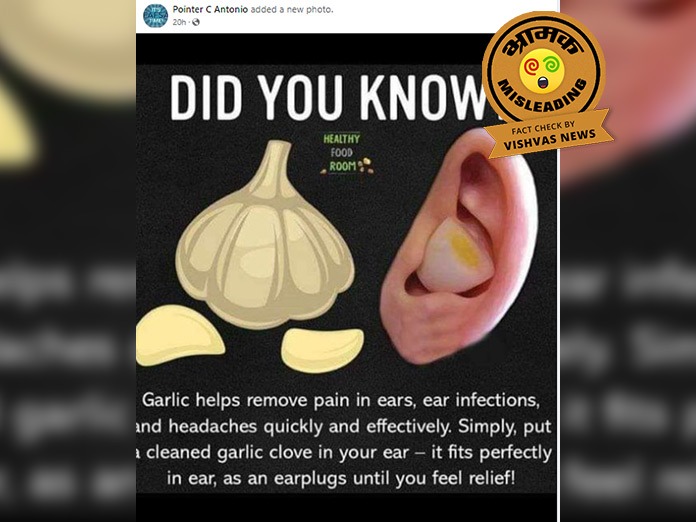 Garlic