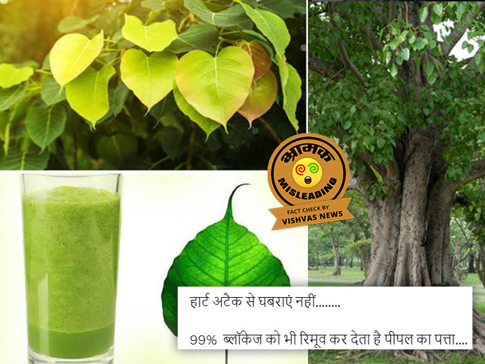 peepal leaves, heart blockage, heart attack,