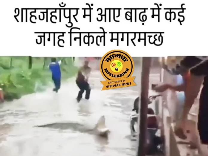 Fact Check, Vadodara Flood, Shahjahanpur flood,